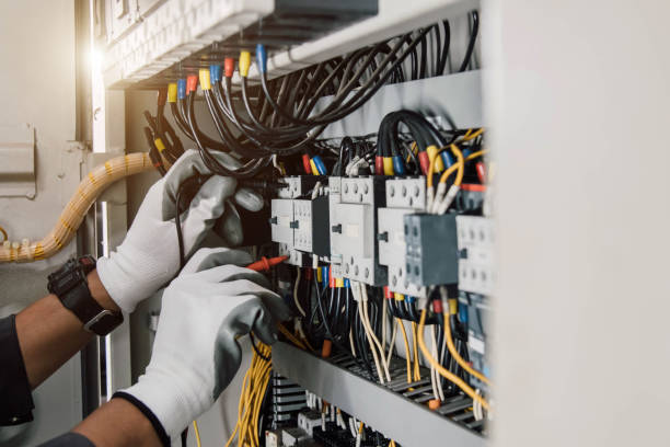 Best Electrical System Inspection  in Heyworth, IL